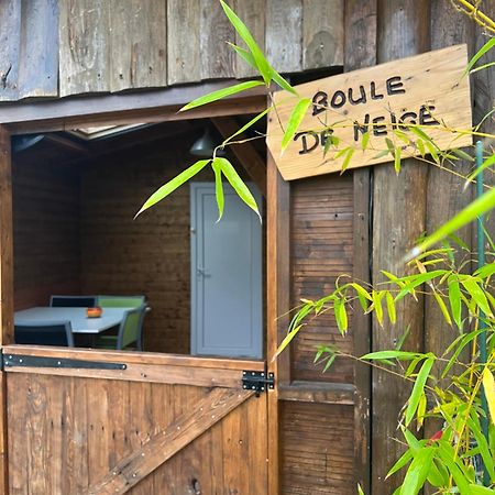 Les Gites De La Bergerie - Boule De Neige Meximieux Exterior foto